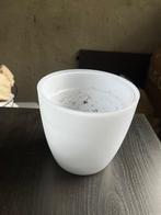 Transparante pot Ehlo (Brussels, 16 cm), Ophalen, Kunststof, Rond, Binnen