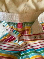 Beachwear short van Shiwi maat L, Ophalen of Verzenden, Zo goed als nieuw, Overige typen, Shiwi