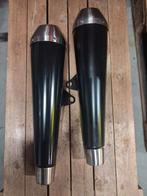 Triumph uitlaat, Motoren, Particulier, 2 cilinders, Naked bike