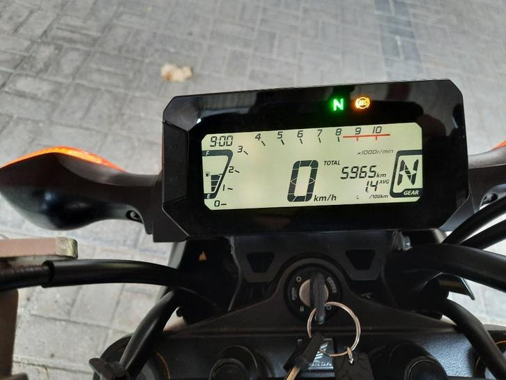 Honda Grom MSX125 ABS, Motoren, Motoren | Honda, Particulier, Toermotor, 11 kW of minder, 1 cilinder, ABS, Ophalen