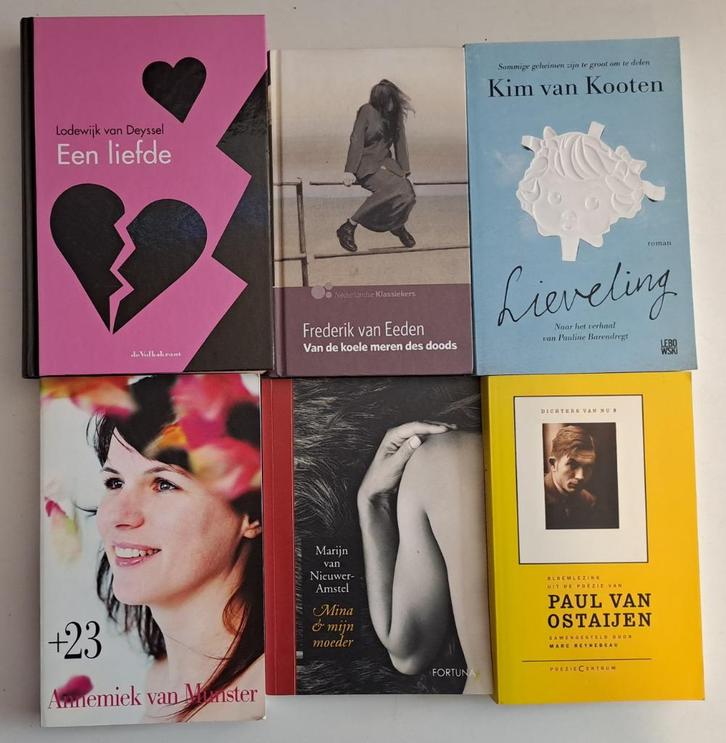 Romans & Literatuur (15), Boeken, Literatuur, Gelezen, Ophalen of Verzenden