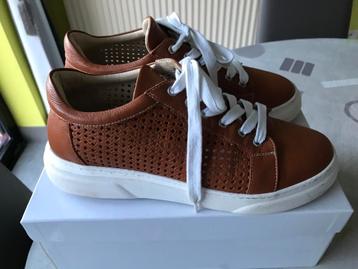 Camel sneakers maat 41 Annalina