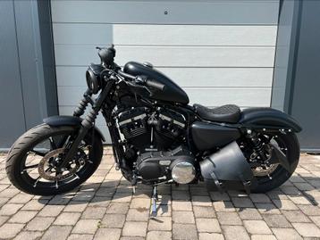 Harley Davidson Iron 883, Motoren, Motoren | Harley-Davidson, Particulier