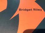 Bridget Riley Paintings 90pag, Boeken, Zo goed als nieuw, Schilder- en Tekenkunst