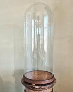 Grande cloche ou globe antique avec base en bois d'origine, Enlèvement