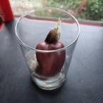 Houten hart in glazen pot, Antiek en Kunst, Ophalen of Verzenden