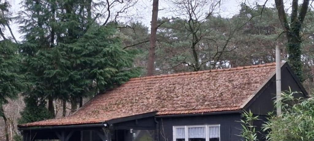 >1500 tuiles ; peuvent être démontées par vous-même, Bricolage & Construction, Tuiles & Revêtements de toit, Enlèvement, Tuiles