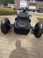 Can-am ryker 900, Motoren, Meer dan 35 kW, 900 cc, 3 cilinders