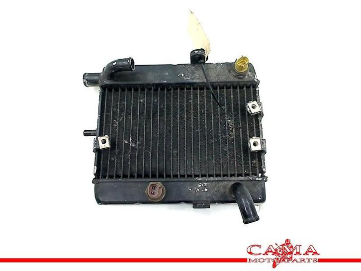 RADIATEUR EAU YP 250 Majesty 2000-2003 (YP250) (71219TOYO), Motos, Pièces | Yamaha, Utilisé