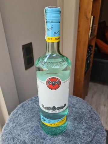Bacardi founders day 2022 braille editie beschikbaar voor biedingen