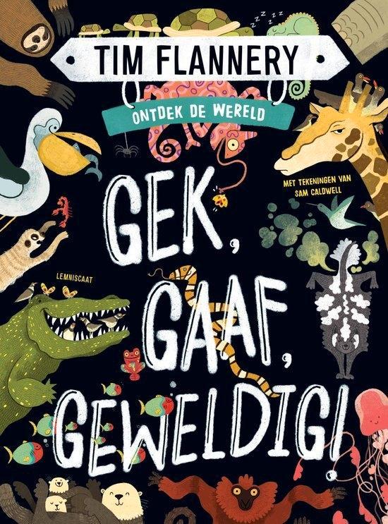 Ontdek de wereld - Gek, Gaaf, Geweldig!, Livres, Livres pour enfants | Jeunesse | 10 à 12 ans, Utilisé, Enlèvement ou Envoi