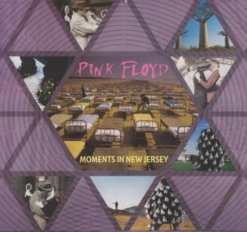 2 CD's  PINK  FLOYD -  Moments In New Jersey - Live 1987 beschikbaar voor biedingen