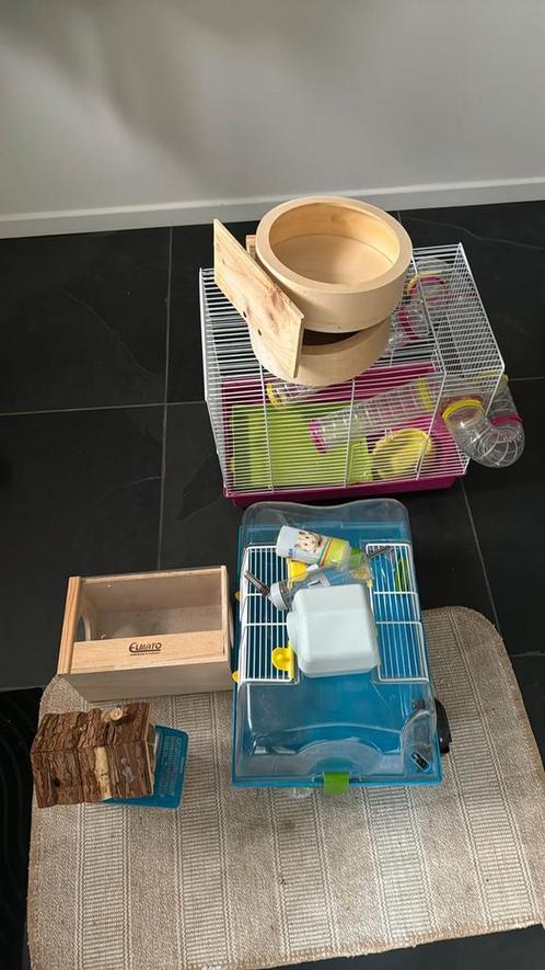 Hamsterkooi en toebehoren, Dieren en Toebehoren, Knaagdieren en Konijnen | Hokken en Kooien, Zo goed als nieuw, Hok, Hamster, Ophalen