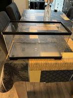 Aquarium pour petite tortue, Animaux & Accessoires