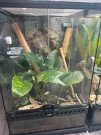 Exo terra 30x30x45cm ingericht, Ophalen, Gebruikt