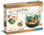 harry potter hagrid's hut terrarium, Ophalen of Verzenden, Nieuw