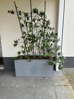 Plantenbak, Tuin en Terras, Ophalen, Kunststof, Gebruikt, 100 cm of meer