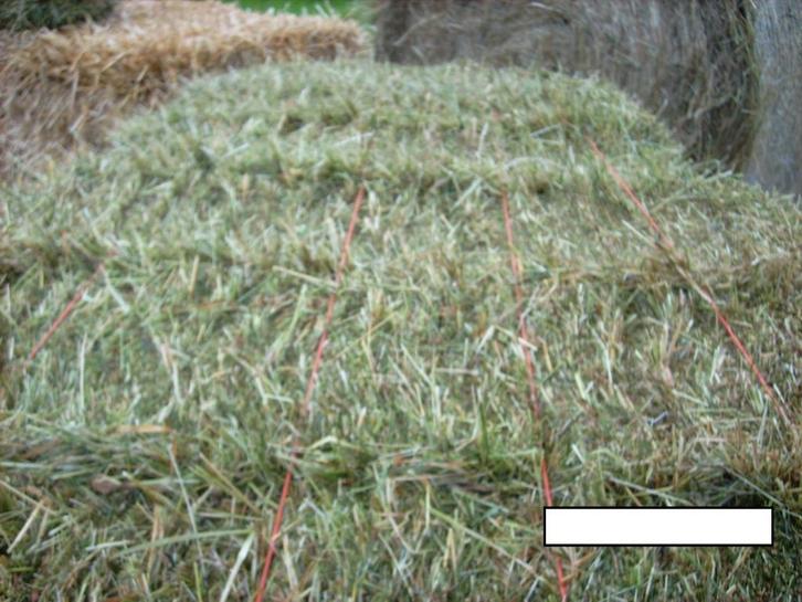 Te koop Hooi en stro, Zakelijke goederen, Landbouw | Veevoer, Ophalen