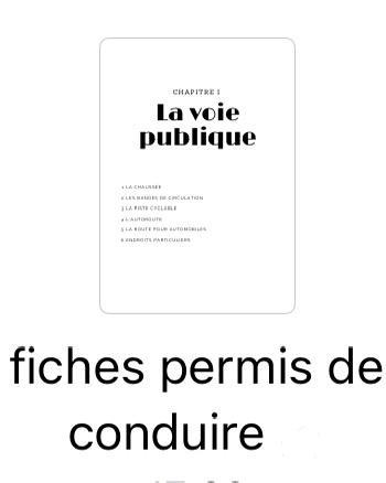 Fiche permis de conduire B beschikbaar voor biedingen