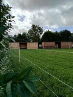 Location boxe prairie – bien-être & confort du cheval, Weidegang, 4 paarden of pony's of meer