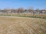 kippendraad, Dieren en Toebehoren, Pluimvee | Toebehoren, Ophalen of Verzenden
