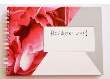 Bedankt juf / bedankt meester invulboek, Divers, Cahiers de notes, Enlèvement ou Envoi, Neuf