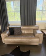 lederen salon, Ophalen, Gebruikt, Leer