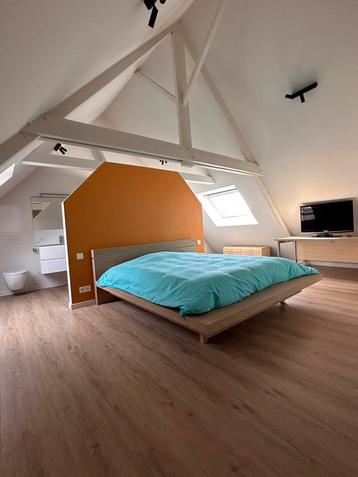 Beautiful spacious studio for rent from 1 February 2025 disponible aux enchères