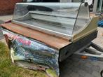 Koeltoog op aanhangwagen., Zakelijke goederen, Ophalen, Gebruikt, Koelen en Vriezen