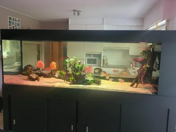 Aquarium beschikbaar voor biedingen