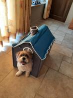 Hondehok of kattehuisje voor binnen, Dieren en Toebehoren, Ophalen, Zo goed als nieuw, Hondenhok