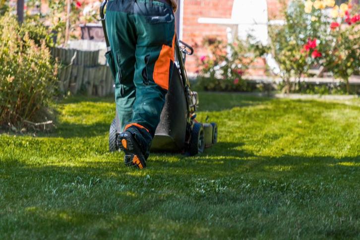 Entretien de jardin – Brabant wallon, Boeken, Wonen en Tuinieren, Ophalen