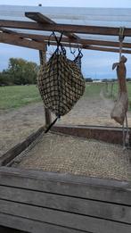 Plek vrij op opstartende paddock paradise te Reet, Weidegang, 4 paarden of pony's of meer