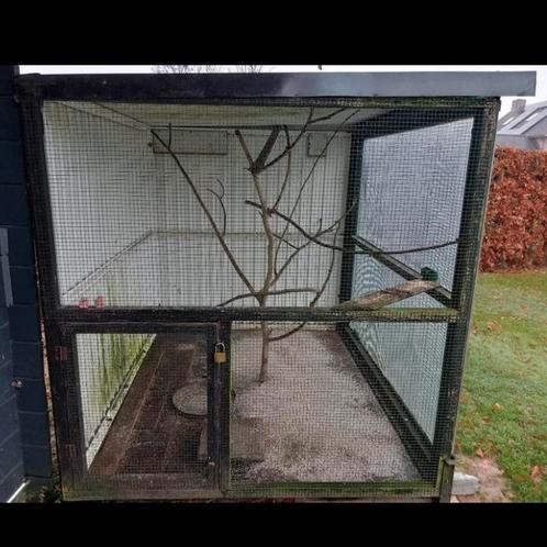 Volière in hout, reeds gedemonteerd, met plastieke schutting, Dieren en Toebehoren, Vogels | Hokken en Kooien, Gebruikt, Volière