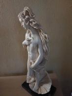 geboorte van Venus door Santini, Ophalen