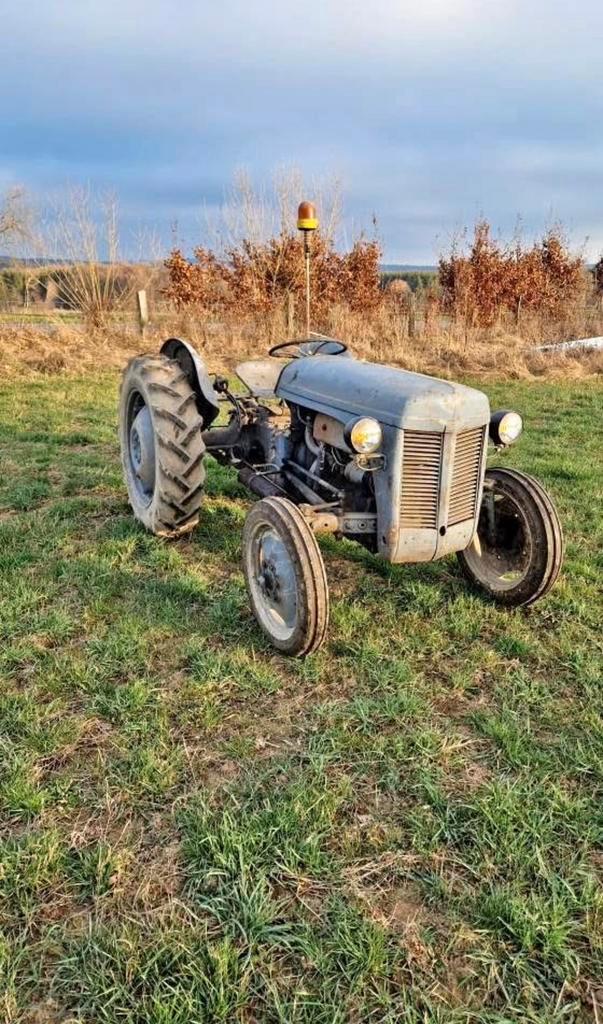 Tracteur petits gris, Zakelijke goederen, Landbouw | Tractoren, Massey Ferguson, Ophalen