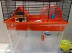 Kooi voor kleine knaagdieren, Ophalen of Verzenden, Zo goed als nieuw, Kooi
