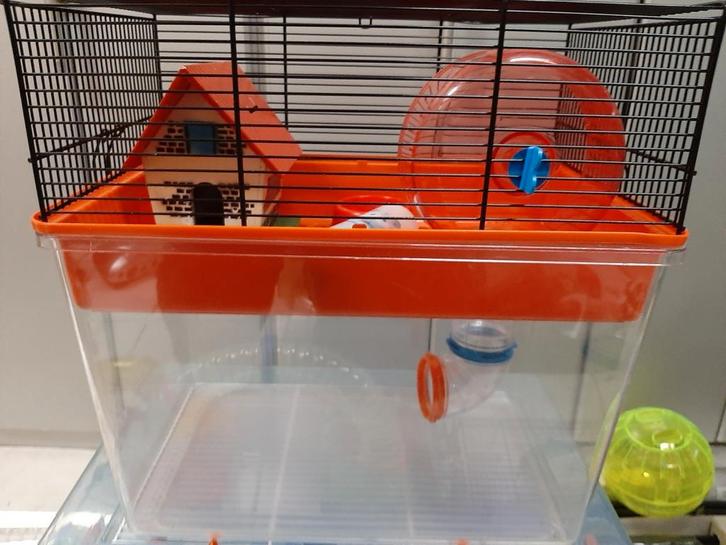 Kooi voor kleine knaagdieren, Dieren en Toebehoren, Knaagdieren en Konijnen | Hokken en Kooien, Zo goed als nieuw, Kooi, Ophalen of Verzenden