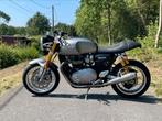 Triumph Thruxton R 03/2016 13000km, Particulier, 2 cylindres, 1200 cm³, Plus de 35 kW