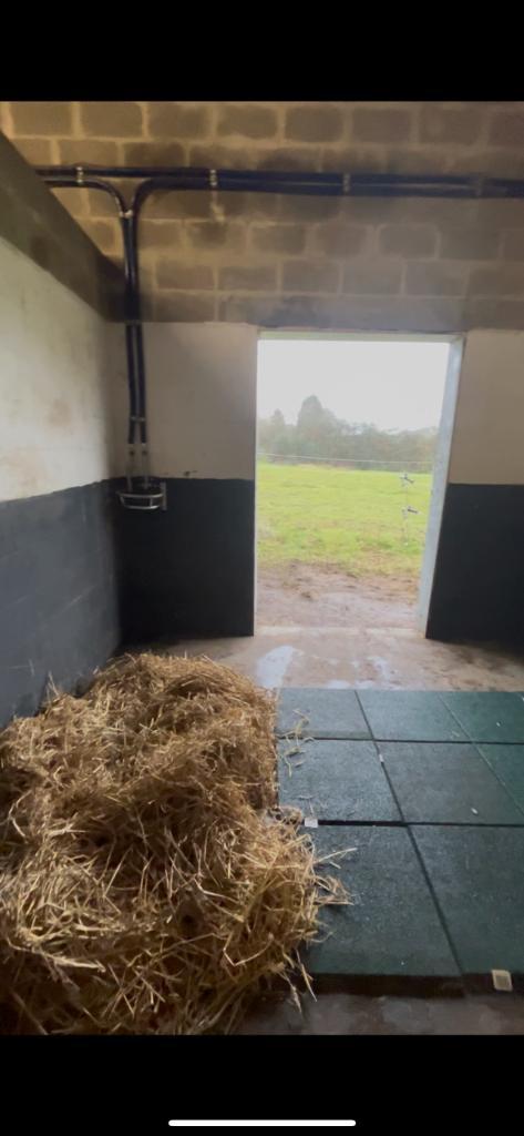 Pension prairie et box, Dieren en Toebehoren, Stalling en Weidegang, Weidegang, 1 paard of pony