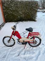 Honda novio II, Enlèvement