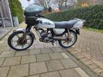 Zundapp KS50 watercooled, Fietsen en Brommers, Brommers | Zundapp, Ophalen, KS50