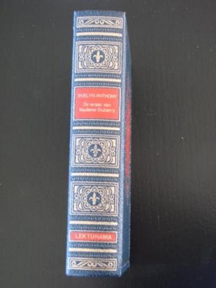 De wraak van Madame Dubarry, Boeken, Romans, Zo goed als nieuw, Ophalen of Verzenden