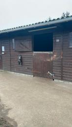 4 paarden stalen te huur op een kleine Privé stalling, Dieren en Toebehoren, Weidegang, 4 paarden of pony's of meer