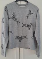 Zoe Karssen sweater (Large maar eerder Small), Kleding | Dames, Zoe Karssen, Ophalen of Verzenden, Zo goed als nieuw, Maat 36 (S)