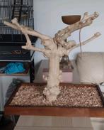 Arbre de Java, Dieren en Toebehoren, Ophalen, Zo goed als nieuw