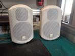 Turbosound binnen/buitenspeakers met muurbeugels, Ophalen of Verzenden, Zo goed als nieuw