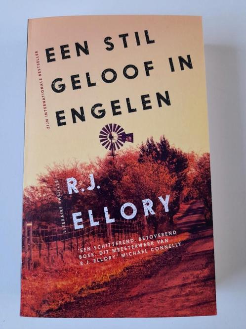 R.J. Ellory - Een stil geloof in engelen, Boeken, Thrillers, Zo goed als nieuw, Ophalen