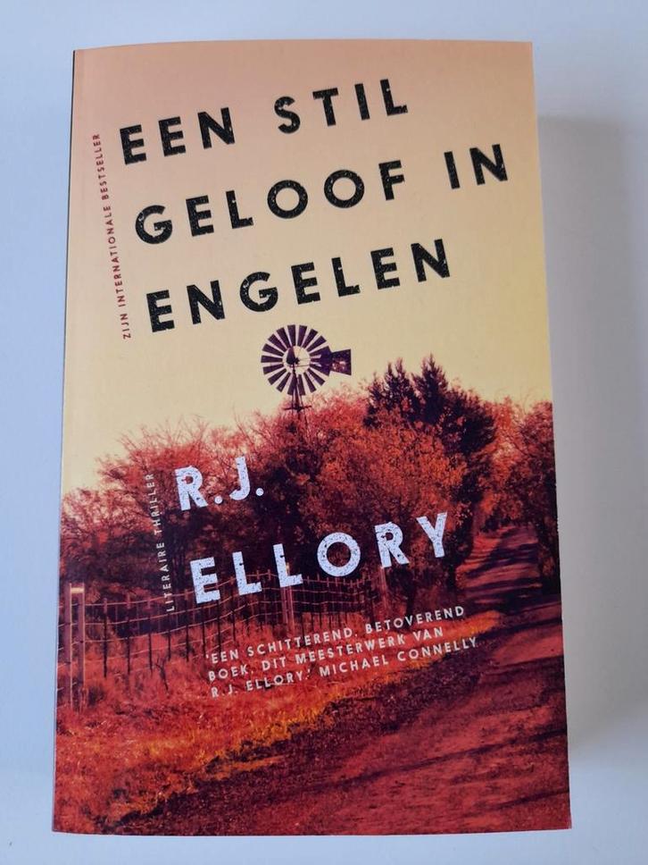 R.J. Ellory - Een stil geloof in engelen, Boeken, Thrillers, Zo goed als nieuw, Ophalen