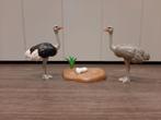 Playmobil Struisvogels met nest – 6646, Kinderen en Baby's, Speelgoed | Playmobil, Ophalen, Gebruikt, Complete set